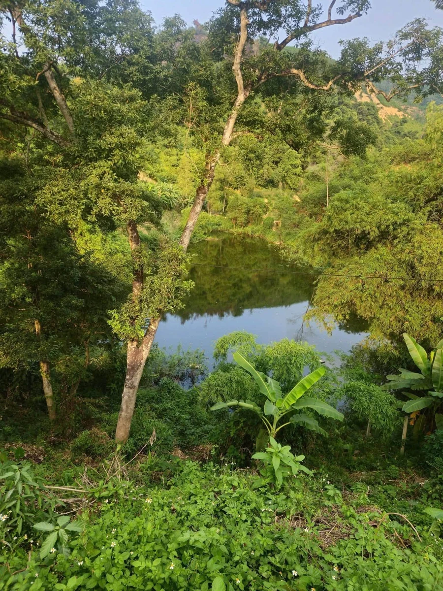 Bán đất view hồ Hòa Bình 1.125,4m² giá 4,8 tỷ - Ảnh thu nhỏ 3
