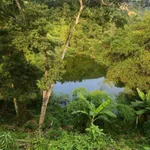 Bán đất view hồ Hòa Bình 1.125,4m² giá 4,8 tỷ - Ảnh thu nhỏ 3