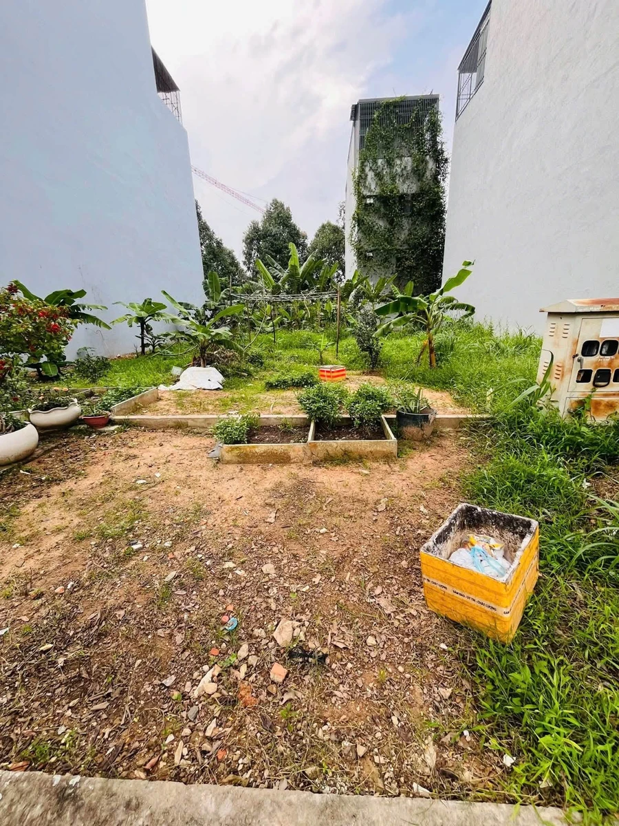 Bán đất 100m2 khu Bình Nguyên, Dĩ An, giá 5,8 tỷ - Ảnh thu nhỏ 4