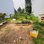Bán đất 100m2 khu Bình Nguyên, Dĩ An, giá 5,8 tỷ - Ảnh thu nhỏ 4