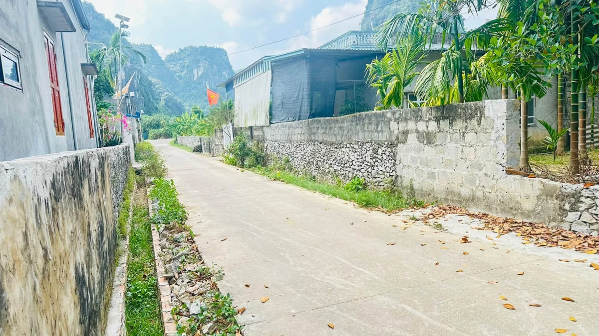 Bán đất nền 230m² tại Cao Dương, Phú Thọ - Ảnh thu nhỏ 3
