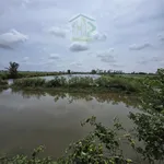 Bán đất lúa tôm 9.773 m² thị trấn Phước Long, Cà Mau - Ảnh thu nhỏ 1