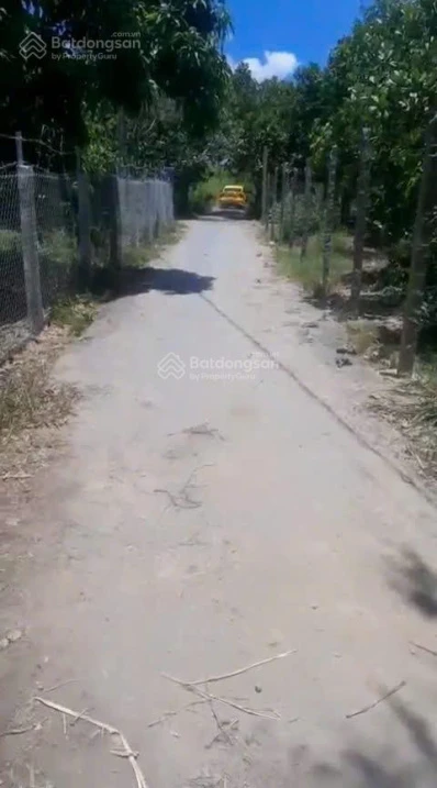 Bán đất tại Mỹ Hòa, Tháp Mười, Đồng Tháp, 9,5 tỷ, 2118 m2 - Ảnh thu nhỏ 2