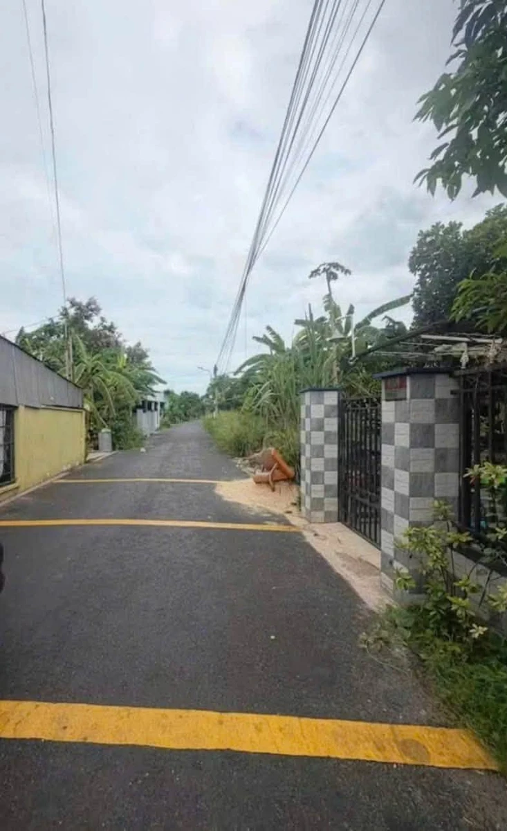 Bán lô đất thổ cư 77m2 đường nhựa nhánh đường Bà 39, Phú An giá 1,26 tỷ - Ảnh thu nhỏ 4