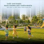 Bán shophouse 4 tầng 194,5m² mặt biển Vịnh Bình Minh 7,971 tỷ - Ảnh thu nhỏ 5