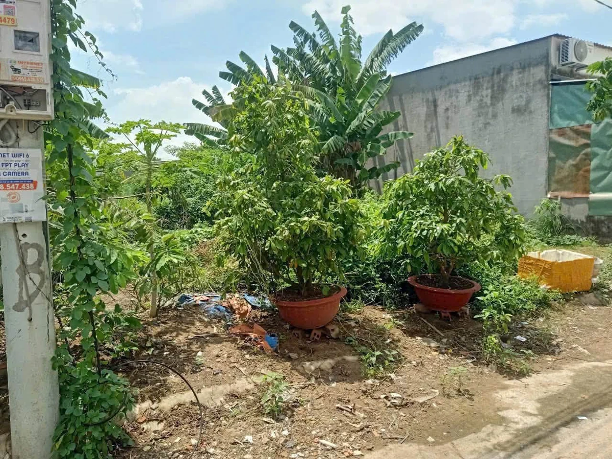 Bán lô đất hẻm Cần Giuộc Long An 80m² 1 tỷ 650 - Ảnh thu nhỏ 3