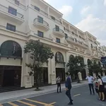 Bán nhà xẻ khe 340m² tại Vinhomes Ocean Park 3, giá 18,174 tỷ - Ảnh thu nhỏ 3
