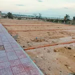 Đất gần Biển Ninh Chữ đấu giá nhà nước - Cơ hội đầu tư đất biển giá rẻ - Ngân hàng hỗ trợ vay - Ảnh thu nhỏ 5