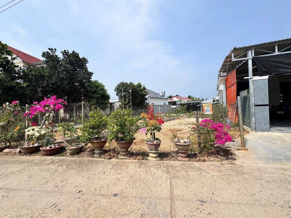 Bán đất Phước Trạch 118.5m² - 1 tỷ 320 triệu - Ảnh thu nhỏ 4