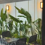 Bán 3 căn liền kề 121m2 view garden Huế - Ảnh thu nhỏ 4