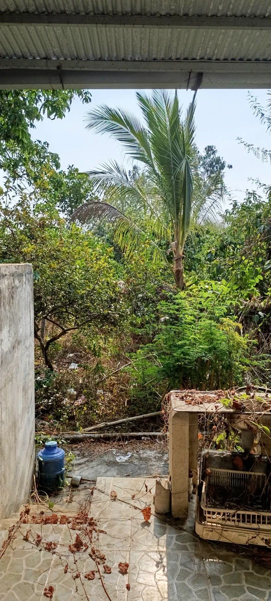 Bán nhà sổ riêng 204m² ở Xã La Ngà, Đồng Nai, 890 triệu - Ảnh thu nhỏ 4
