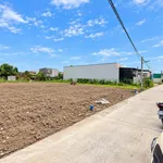 Bán đất thổ cư 4,3x27m nở hậu, lô nhì đường Cộng Đồng Lộc Trung, Mỹ Lộc, Cần Giuộc - Ảnh thu nhỏ 3