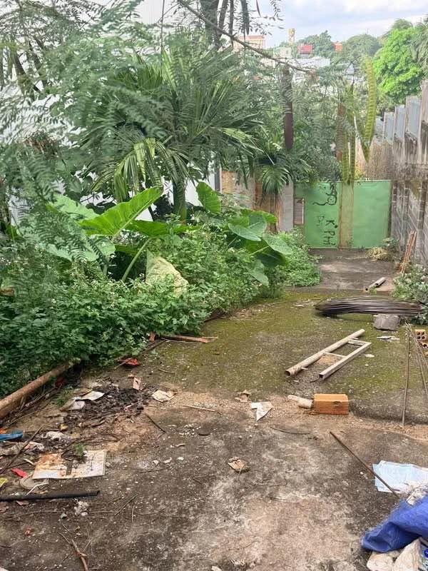 Bán đất mặt tiền Lương Thế Vinh Buôn Ma Thuột 124m2 - 4,25 tỷ - Ảnh thu nhỏ 3
