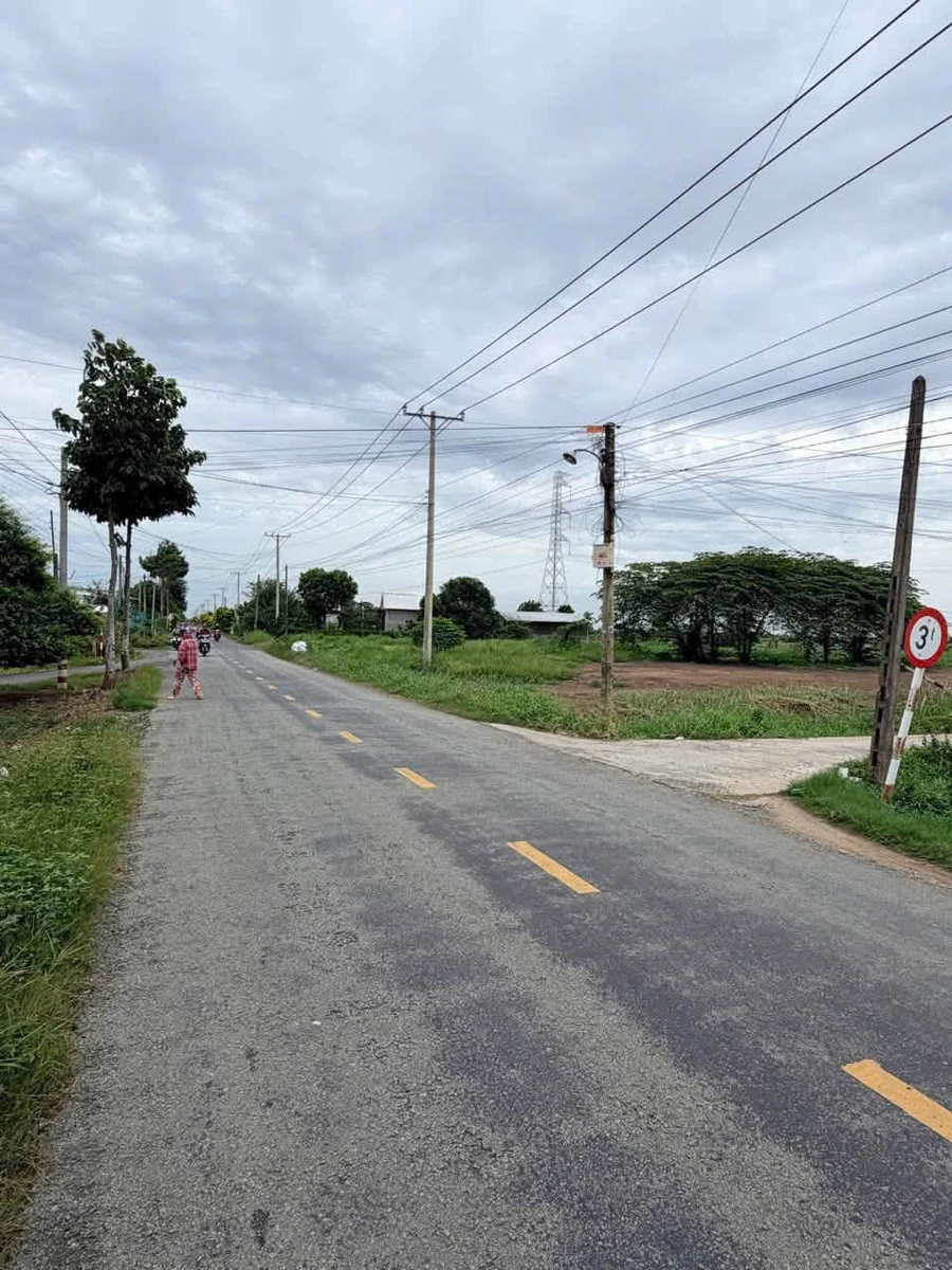Bán 2000m² đất lúa Mỹ Bình, Tân Trụ, Long An - Ảnh thu nhỏ 5
