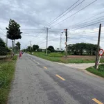 Bán 2000m² đất lúa Mỹ Bình, Tân Trụ, Long An - Ảnh thu nhỏ 5
