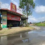 Cặp nền góc 2 mặt tiền Đ. Xuân Hồng KDC đối diện khu BV S.I.S, Ung Bướu, Nhi Đồng,...cách NVC 50m - Ảnh thu nhỏ 6