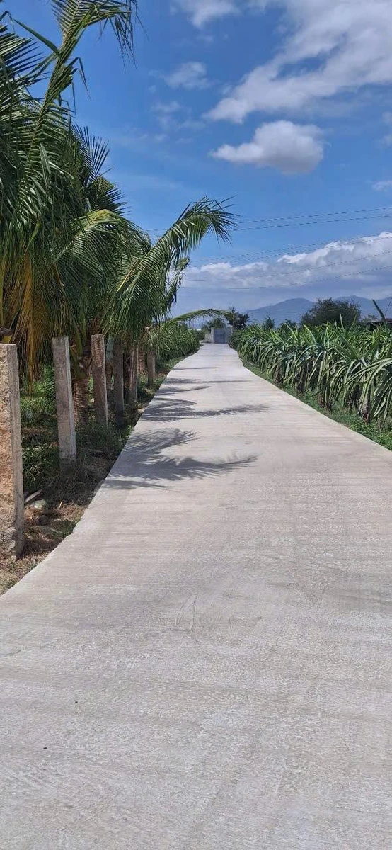 Bán đất 1250m² xây dựng hoàn toàn, cách Phan Thiết 4km - Ảnh 1