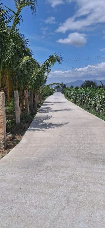 Bán đất 1250m² xây dựng hoàn toàn, cách Phan Thiết 4km