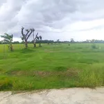 Bán đất 2.000m² đường 3/2 nối dài, Rạch Giá - Ảnh thu nhỏ 1