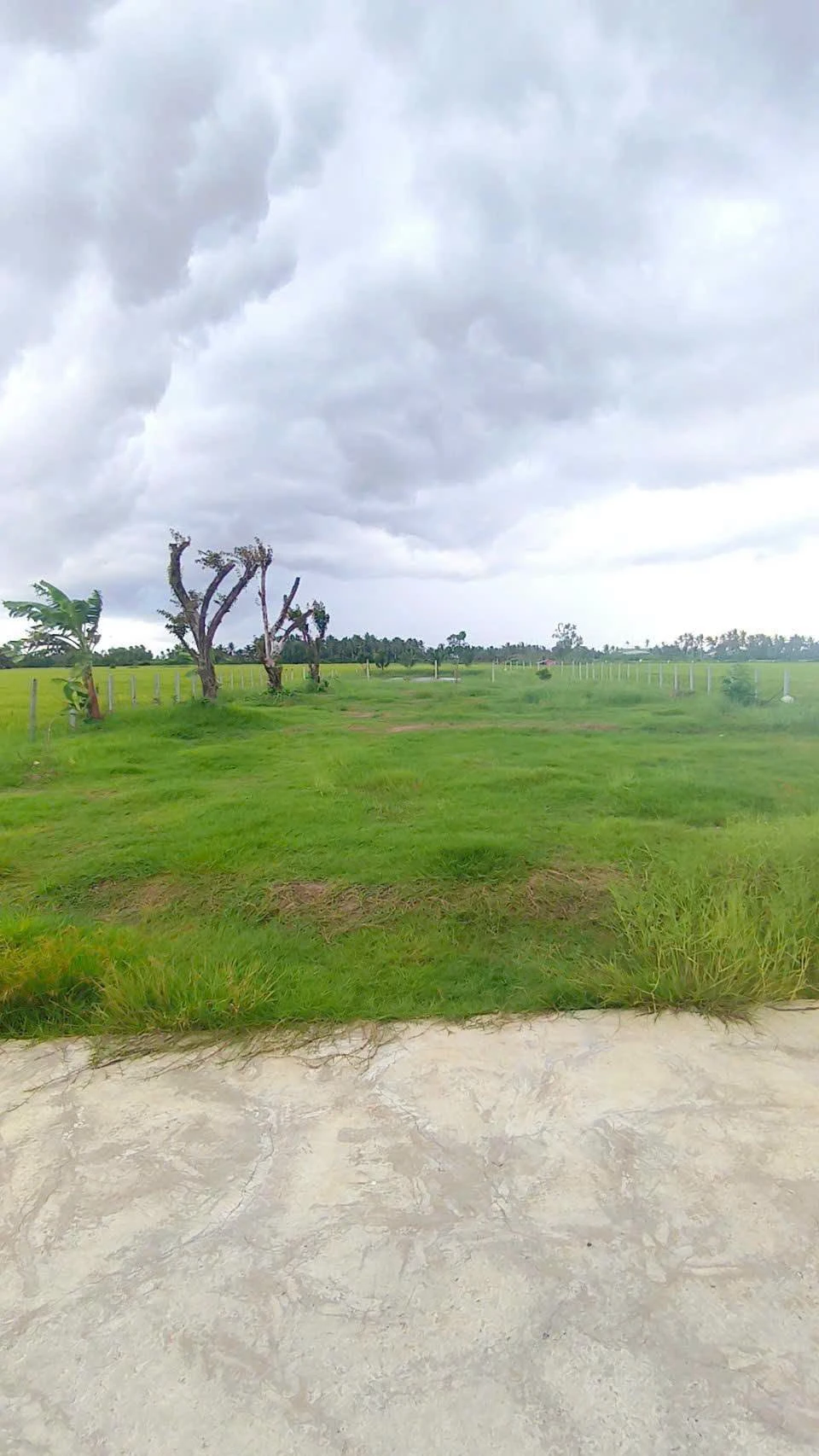 Bán đất 2.000m² đường 3/2 nối dài, Rạch Giá - Ảnh 1