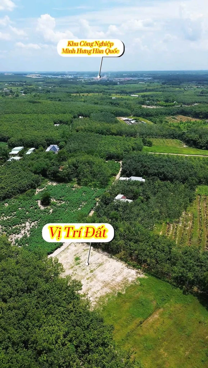 Bán đất sào 4700m² view suối, thổ cư 100m², Bình Dương 1 tỷ 350 - Ảnh thu nhỏ 2