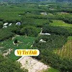 Bán đất sào 4700m² view suối, thổ cư 100m², Bình Dương 1 tỷ 350 - Ảnh thu nhỏ 2