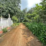 Bán đất 8.000m² Châu Đức, giá 700tr/1.000m² - Ảnh thu nhỏ 2