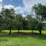 Bán 1.328m² đất vườn La Ngà 689 triệu - Ảnh thu nhỏ 4