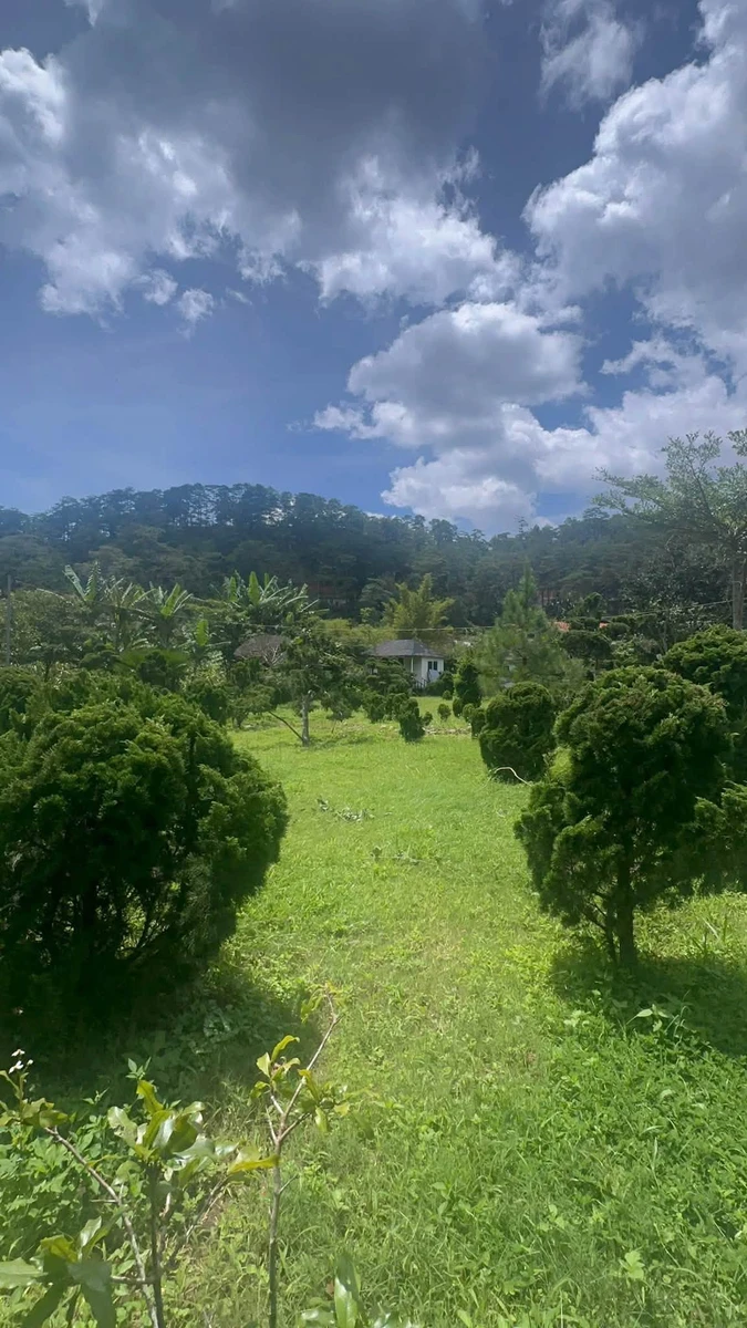 Bán gấp lô đất 4100m2 view rừng thông đường Mimoza, Đà Lạt giá 8,5 tỷ - Ảnh thu nhỏ 3