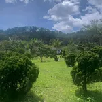 Bán gấp lô đất 4100m2 view rừng thông đường Mimoza, Đà Lạt giá 8,5 tỷ - Ảnh thu nhỏ 3