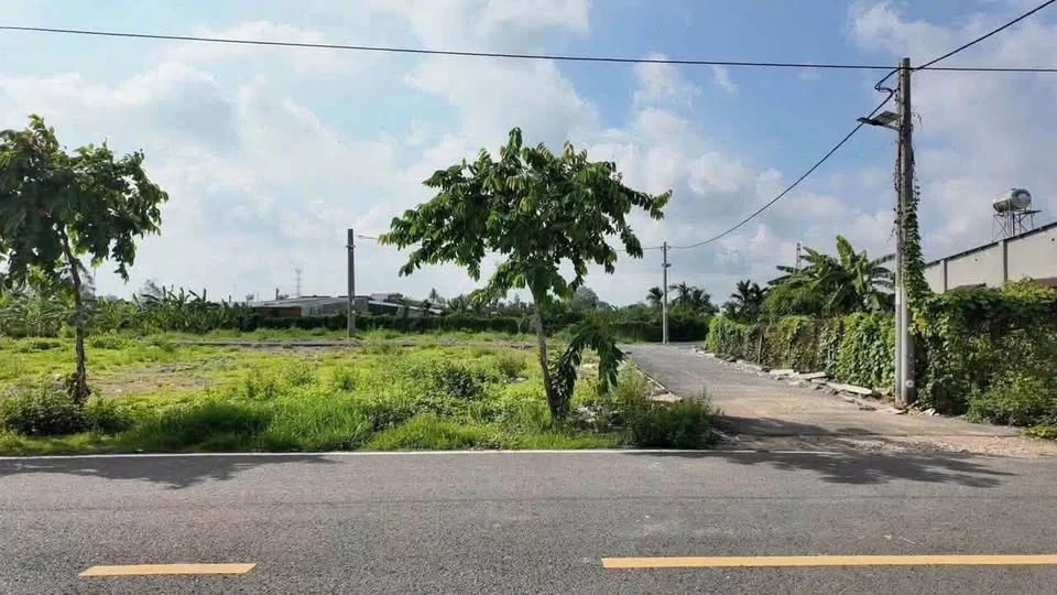 Bán 2 lô đất liền kề mặt tiền Hương Lộ 9, 250m², Đồng Nai - Ảnh 1