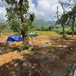 Bán đất 622m² Cao Phong, Hòa Bình giá 599 triệu - Ảnh thu nhỏ 3