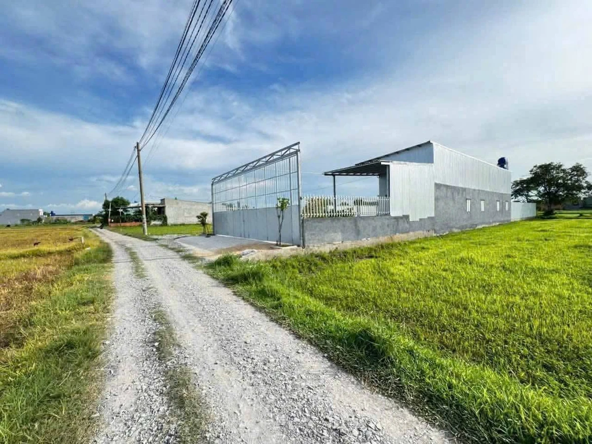 Bán 1000m2 đất có 300m2 thổ cư, sổ hồng riêng tại Mỹ Hạnh Nam, Đức Hòa, Long An - Ảnh thu nhỏ 2
