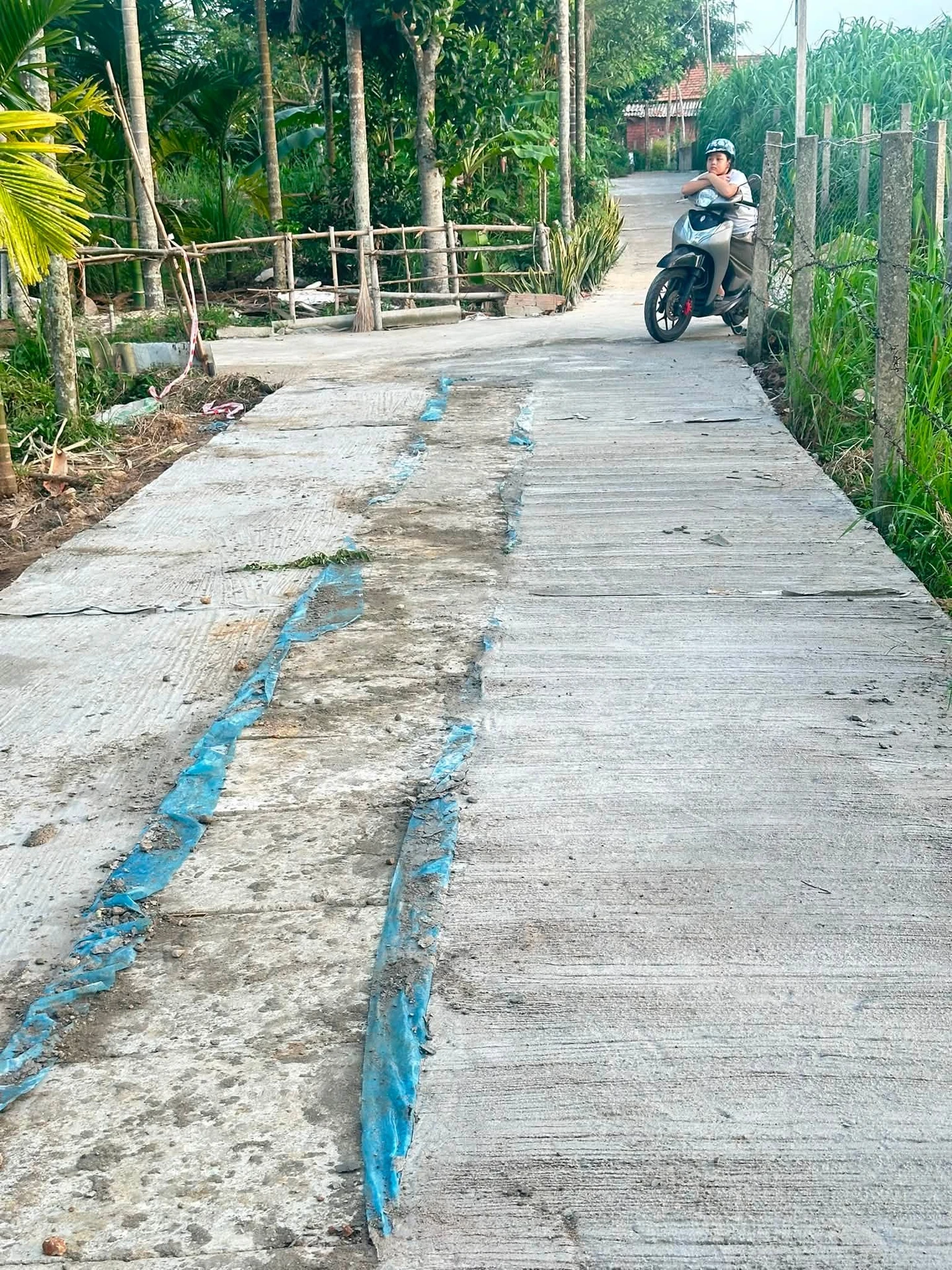 Bán 2 lô đất Hóc Môn 200m² mỗi lô, 3 tỷ/lô - Ảnh 1