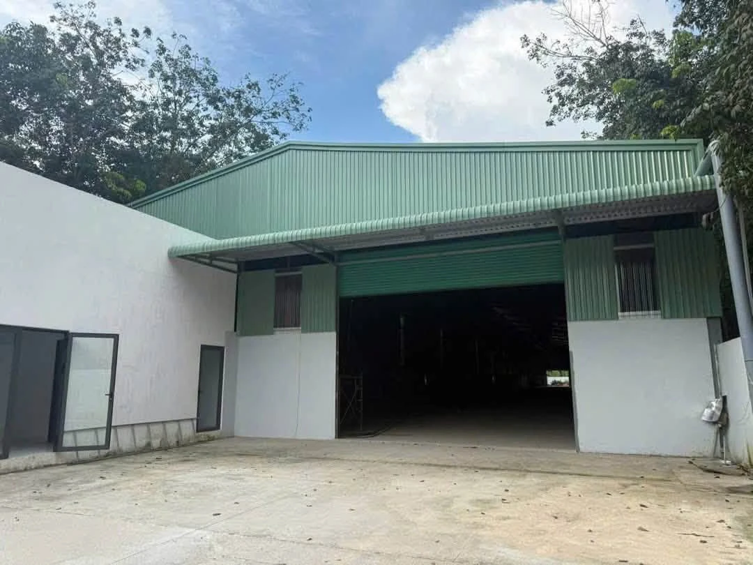 Cho thuê xưởng 2500m2 và văn phòng 85m2 tại Bến Cát, Bình Dương - Ảnh thu nhỏ 3
