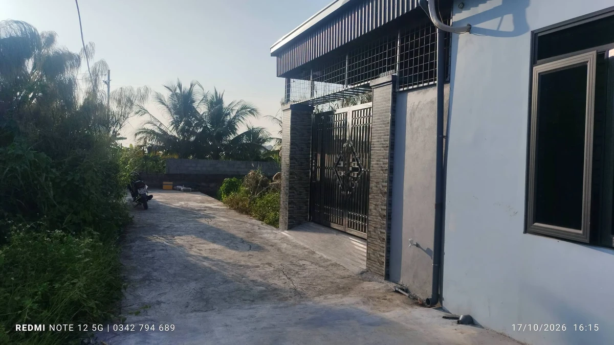 Bán đất Tiên Hội - An Lão 65m2, sổ hồng chuẩn, gần chợ - Ảnh thu nhỏ 5