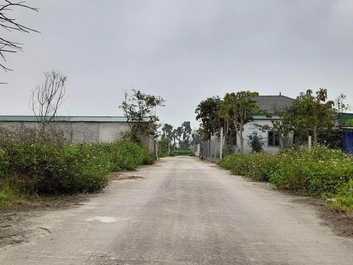 Bán đất 165m² Nghi Phong, Nghệ An 2,64 tỷ - Ảnh thu nhỏ 3