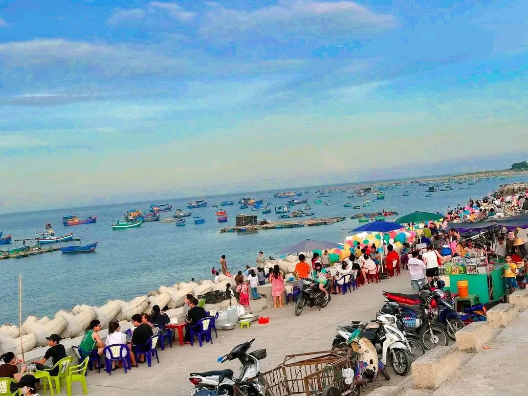 Bán đất biển 154m² kề resort Long Thuận, Bình Thuận - Ảnh thu nhỏ 2