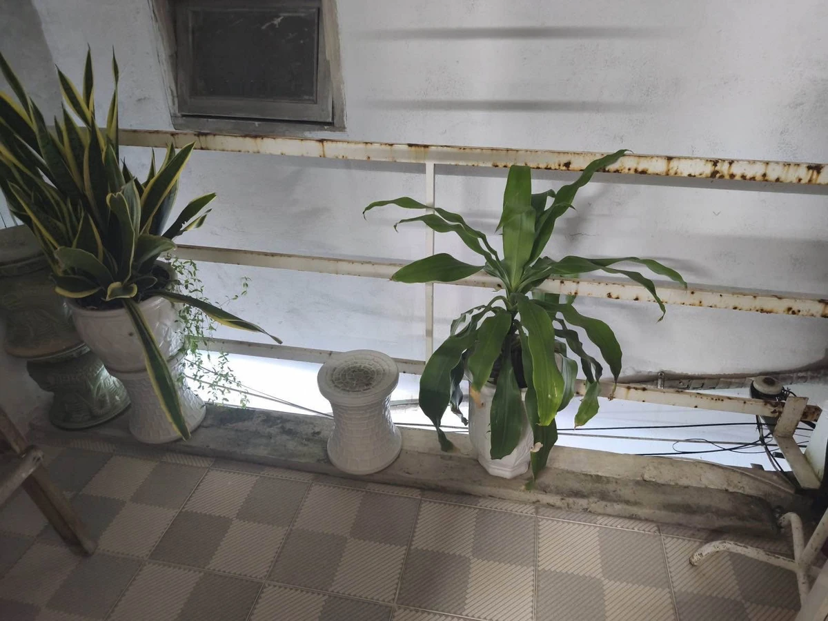 Bán nhà 2 tầng Đống Đa 26m2, 2PN, 2.1 tỷ - Ảnh thu nhỏ 4