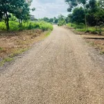 Bán đất Tân Phước 264m2, giá 4 tỷ - Ảnh thu nhỏ 1