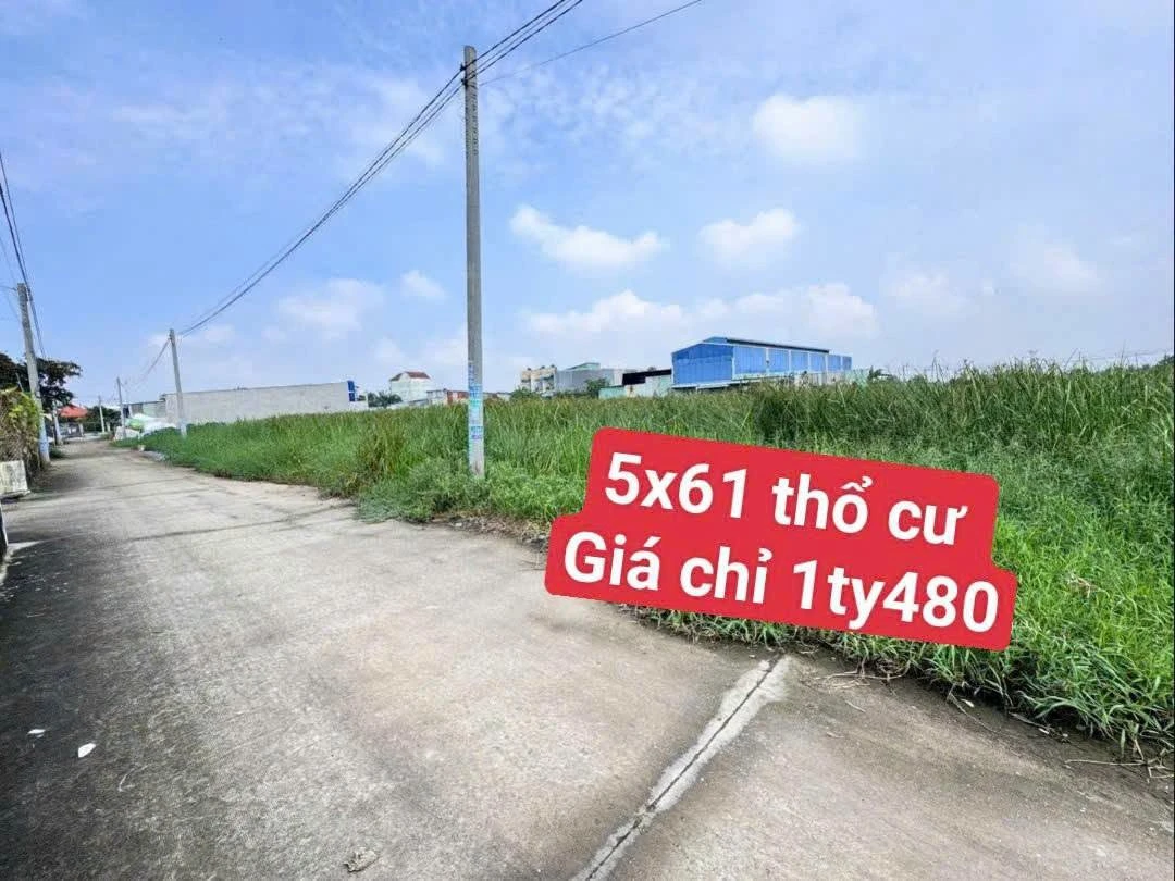 Bán đất thổ cư 5x61m, sổ hồng riêng, ấp 4 Đức Hòa Đông, giá 1,48 tỷ - Ảnh 1