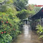 Ngân hàng thanh lý lô đất 59.5m2 full thổ cư tại Bình Đức, Thành phố Long Xuyên chỉ 354 triệu đồng - Ảnh thu nhỏ 2