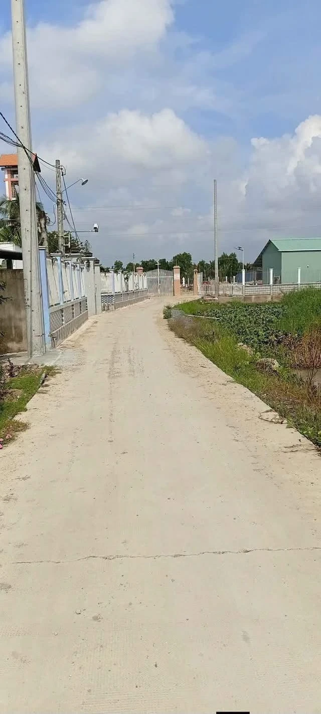 Bán đất 1000m² xã Tân Trạch Cần Đước Long An 2,8 tỷ - Ảnh 1