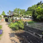 Bán đất 121m2 Tân Đông Hiệp Dĩ An 2,45 tỷ - Ảnh thu nhỏ 3