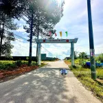 Bán đất cạnh KCN Long Đức, xã Bình An, Đồng Nai - Rất gần Sân Bay Long Thành - Ảnh thu nhỏ 19