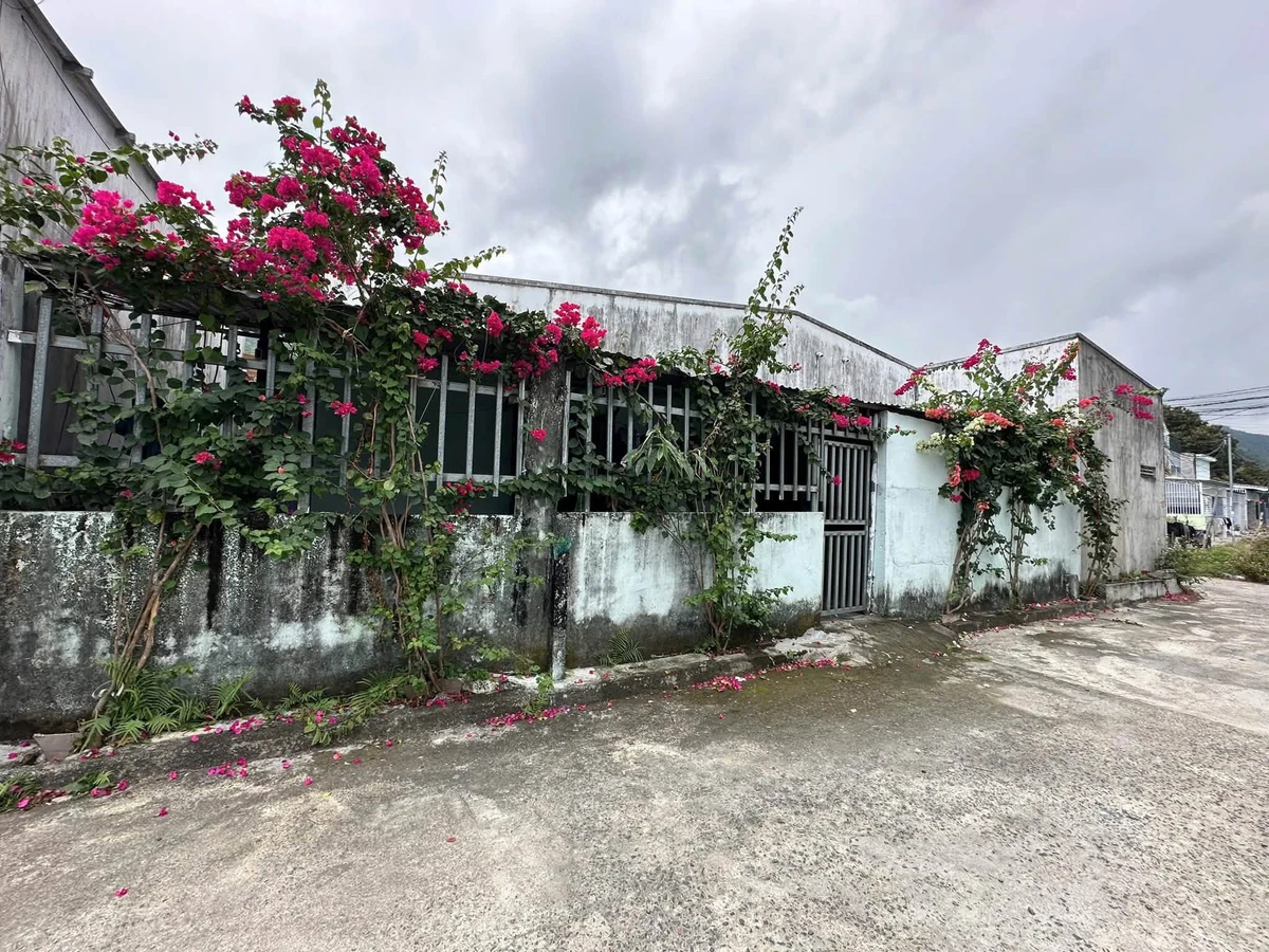 Bán nhà Nha Trang 196.5m² góc 2 mặt tiền 3.7 tỷ - Ảnh thu nhỏ 3