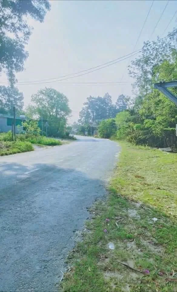 Bán lô đất mặt tiền An Tây, Bình Chánh, 304m², 2.7 tỷ - Ảnh thu nhỏ 2