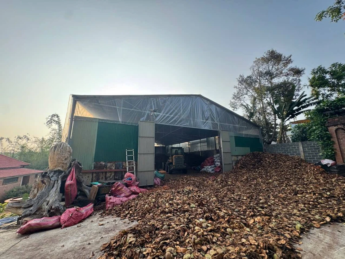 Bán nhà vườn nghỉ dưỡng 4000m2 có hồ cá, kho xưởng tại Phường Tân An, Đắk Lắk - Ảnh thu nhỏ 4