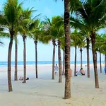 Bán lô đất 3 mặt tiền 236m2 Chính Hữu Đà Nẵng - Ảnh thu nhỏ 4