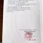 Chính chủ bán gấp 5600m2 đường Tỉnh 881 nhựa 10m, cách Phà Mỹ An 1km,giá 1tr160/m2 - Ảnh thu nhỏ 14